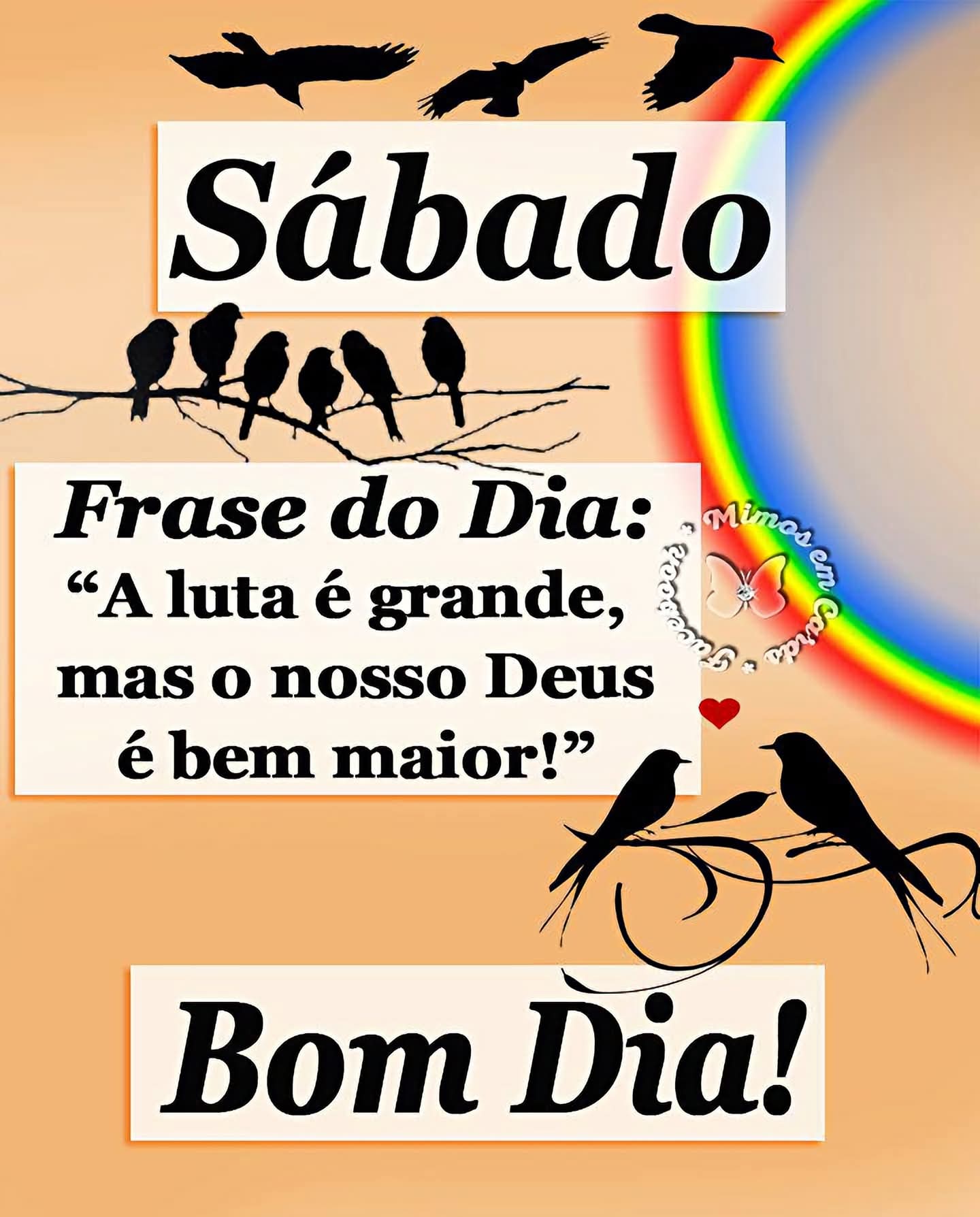 Ir Para